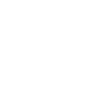 Instagramicon